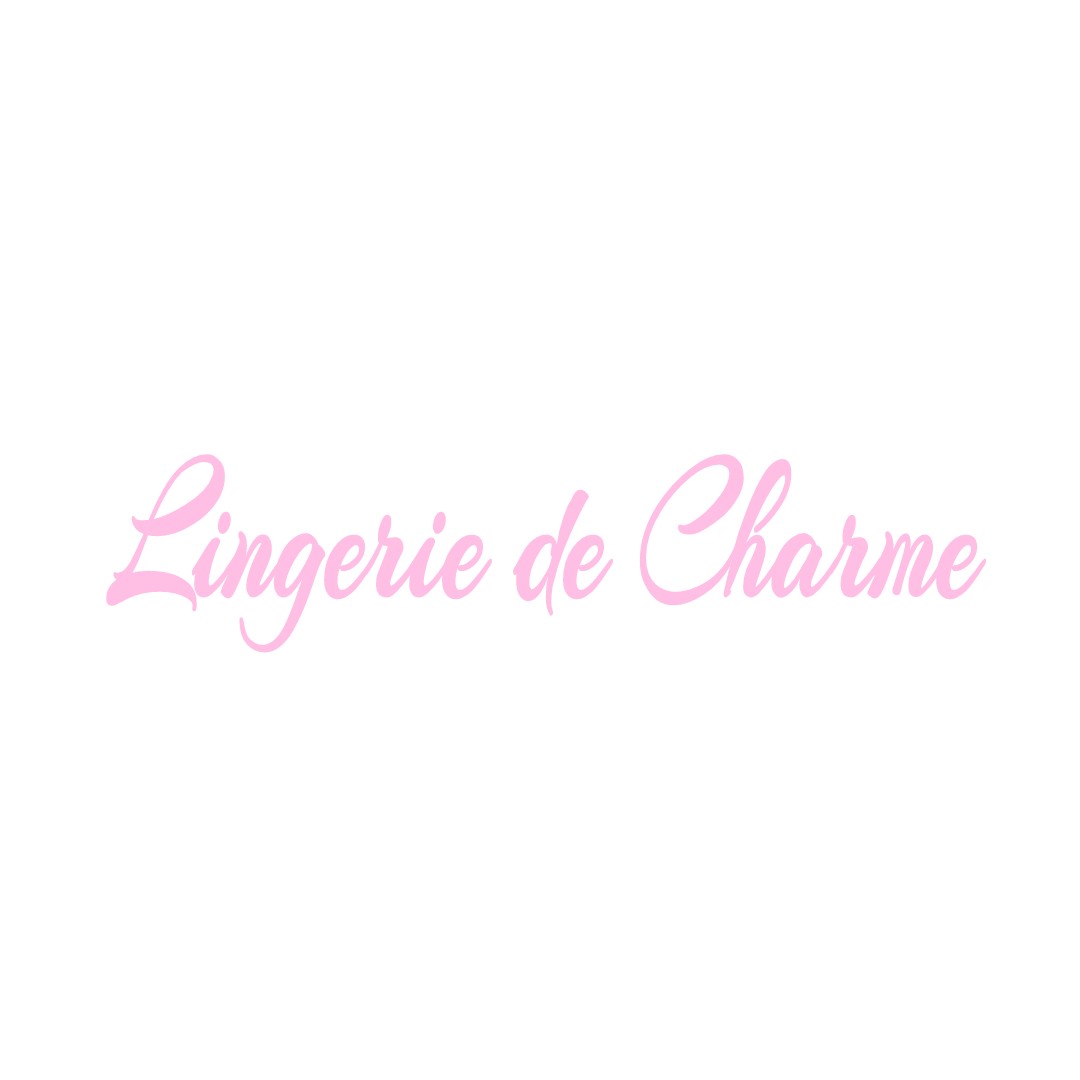 LINGERIE DE CHARME LAROCHE-SAINT-CYDROINE